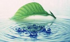  水質(zhì)檢測一次多少錢