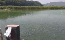  水產(chǎn)養(yǎng)殖水質(zhì)檢測(cè)標(biāo)準(zhǔn)，這五個(gè)方面讓水質(zhì)恢復(fù)清新