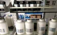  什么是氨氮總磷總氮？