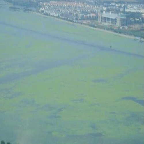  cod對水質(zhì)和環(huán)境的影響和危害