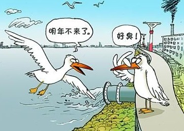  國家飲用水標準及水質(zhì)合格率是多少？